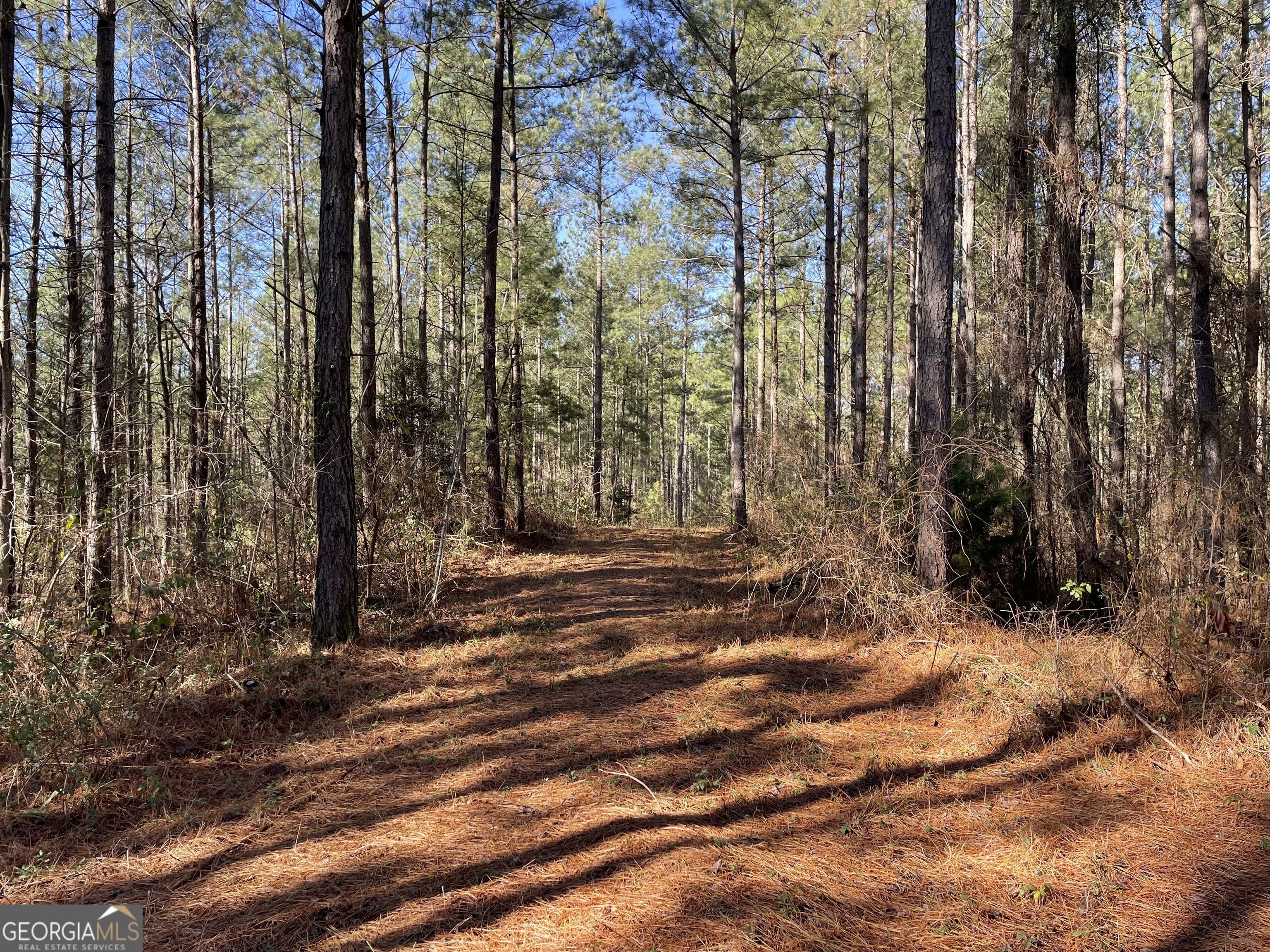 0 Crane Road Dawsonville, GA 30534 - Photo 1 of 1 Gallery Image 1