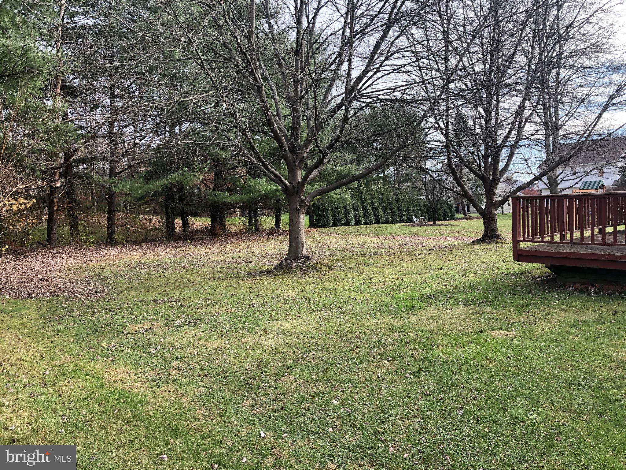 224 Post Oak Road Lancaster, PA 17603 - Photo 3 of 3 Rear Yard