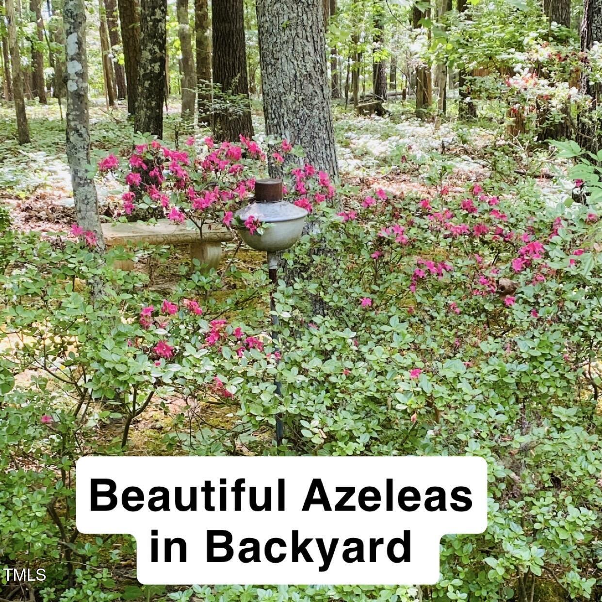 5825 Scalybark Road Durham, NC 27712 - Photo 29 of 44 Backyard Pics