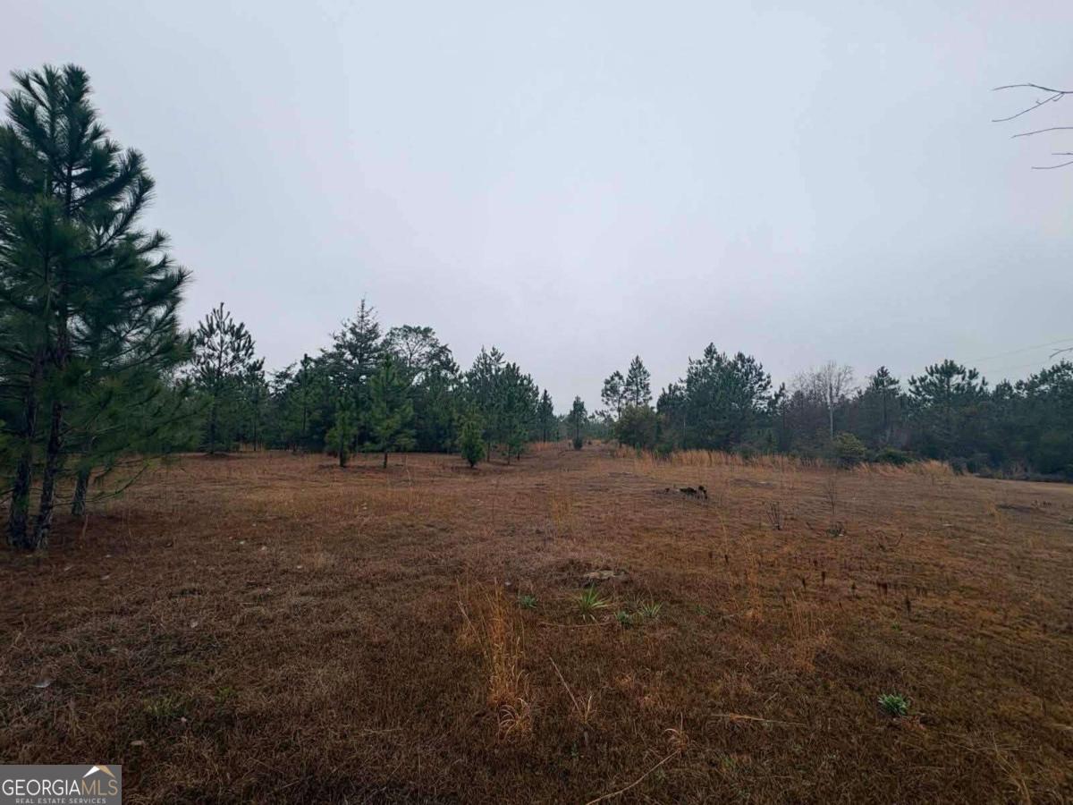 0 Hill Top Road Baxley, GA 31513 - Photo 1 of 4