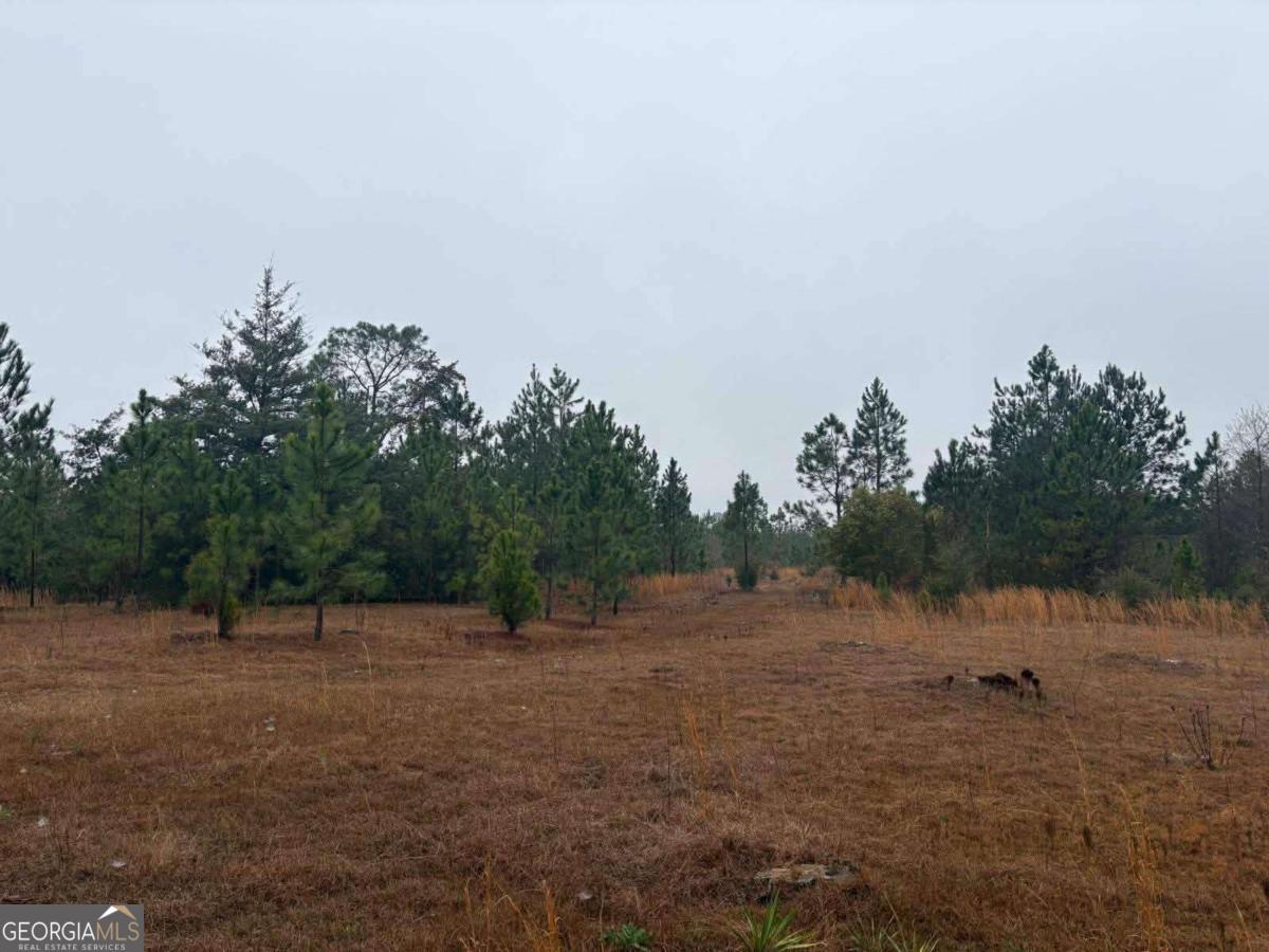 0 Hill Top Road Baxley, GA 31513 - Photo 2 of 4