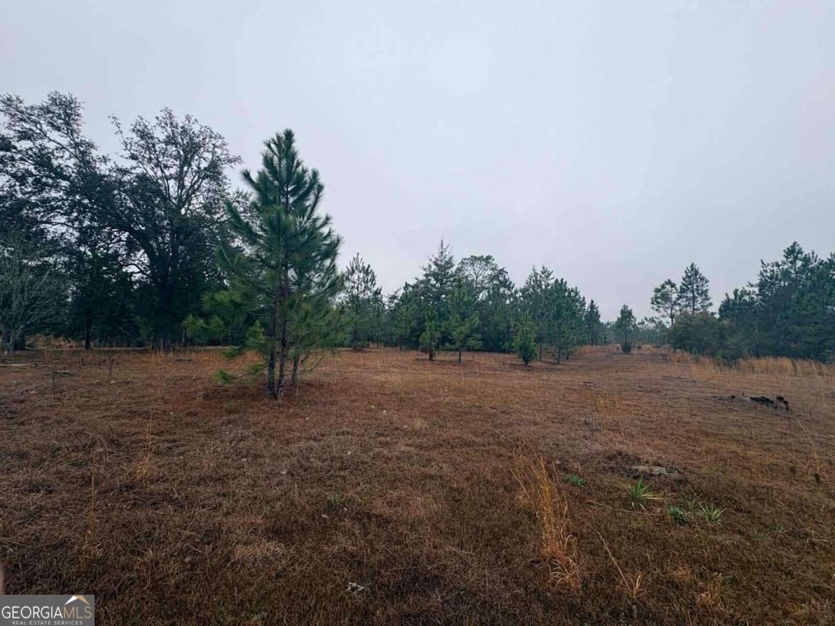 0 Hill Top Road Baxley, GA 31513 - Photo 3 of 4