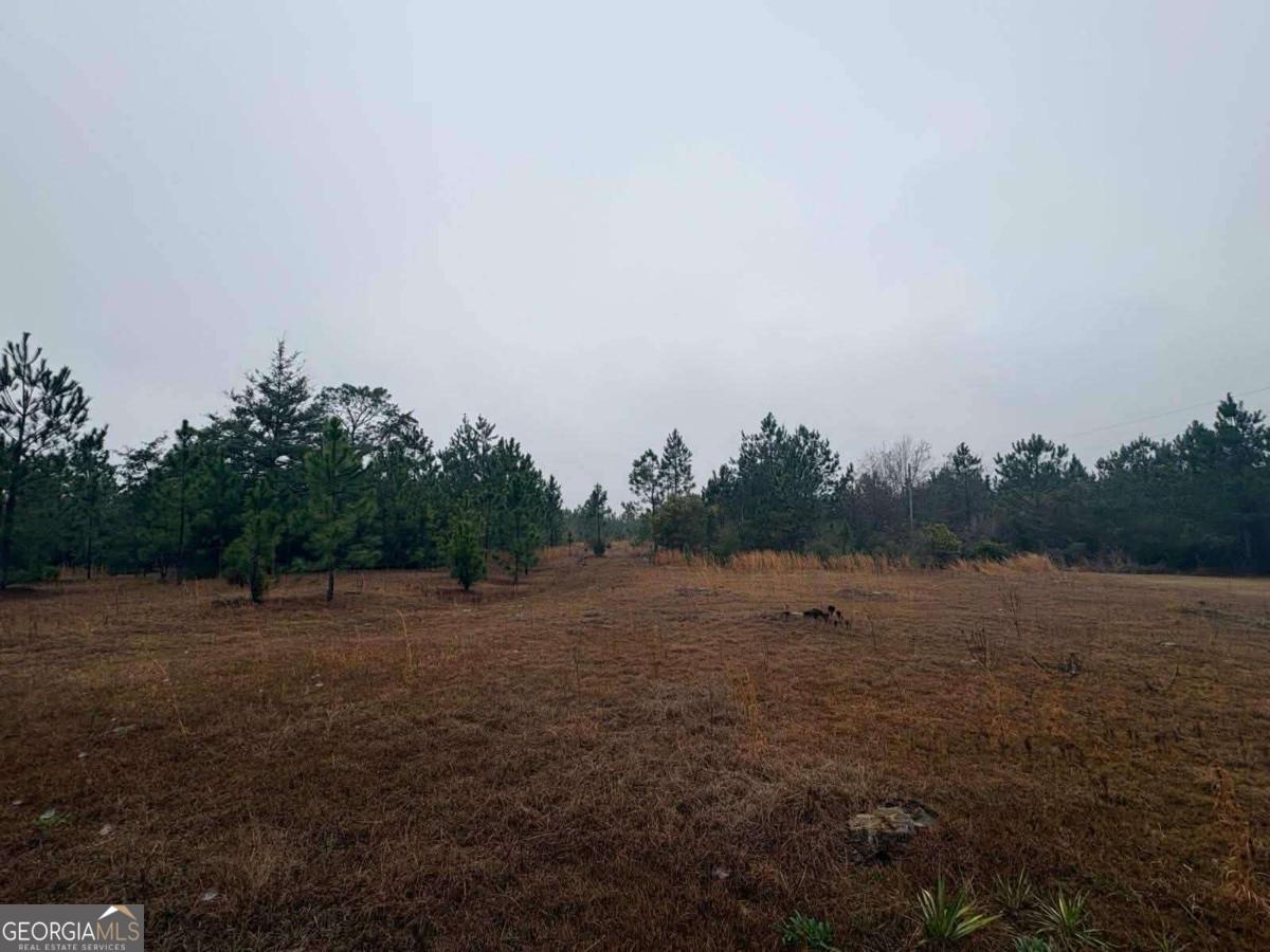 0 Hill Top Road Baxley, GA 31513 - Photo 4 of 4