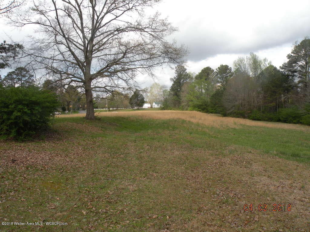 104 East Ridgewood Road Jasper, AL 35504 - Photo 15 of 15 Gallery Image 15