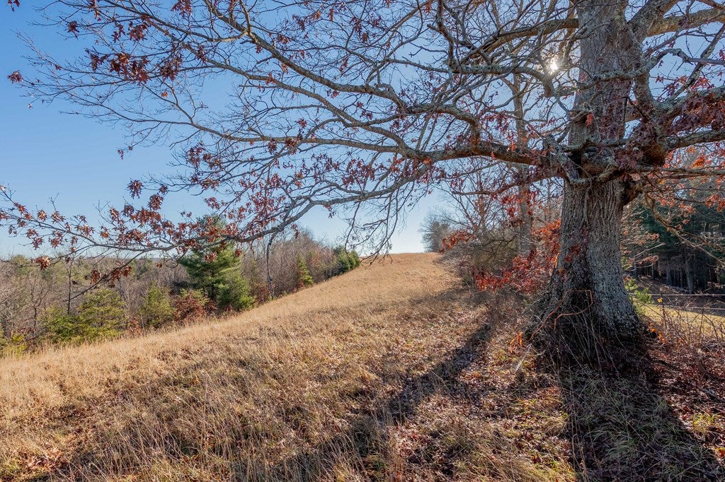 1530 Ridge Road Austinville, VA 24312 - Photo 48 of 62 Gallery Image 48
