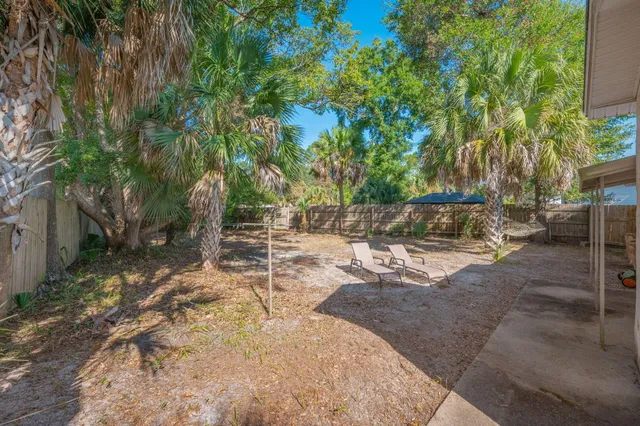 a view of a yard with plants and trees