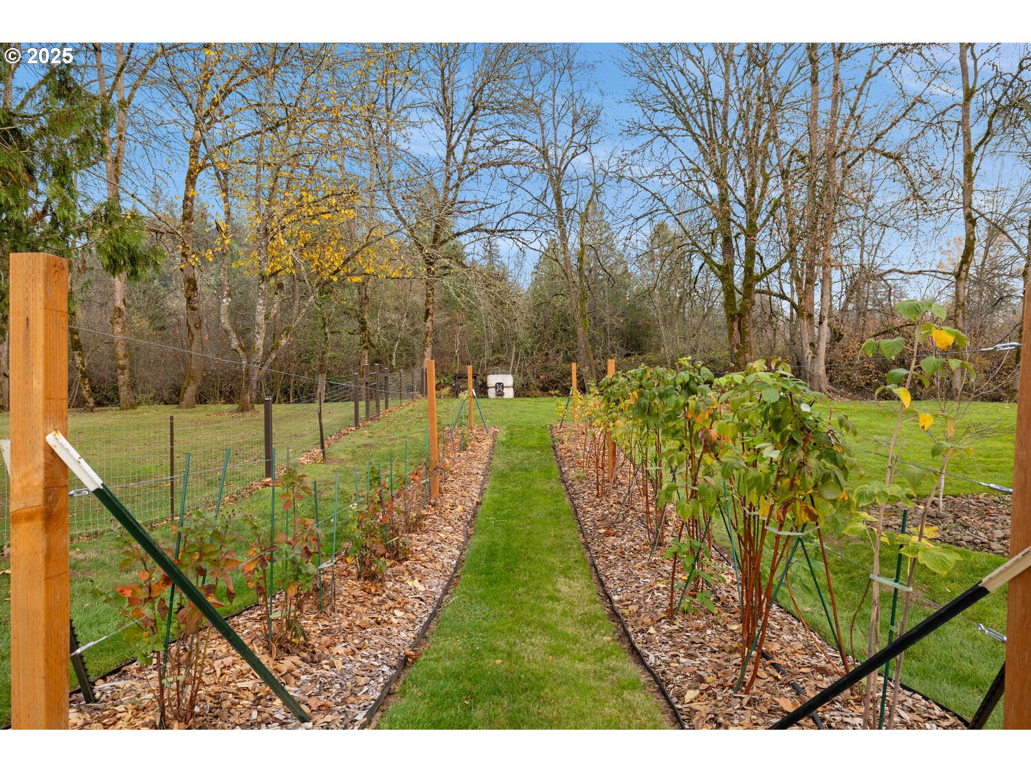 15441 South Union Mills Road Mulino, OR 97042 - Photo 40 of 48