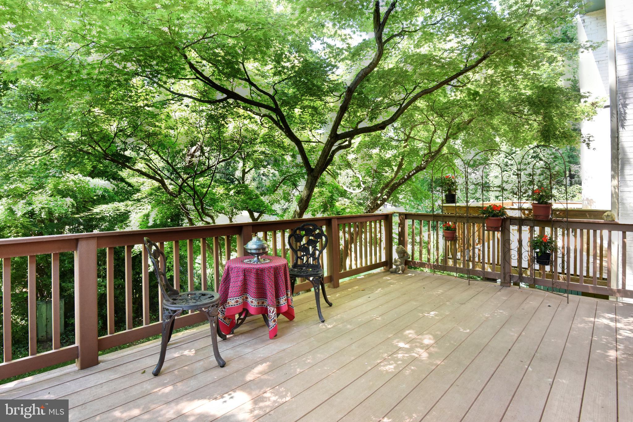 11615 Golf Course Square Reston, VA 20191 - Photo 41 of 58