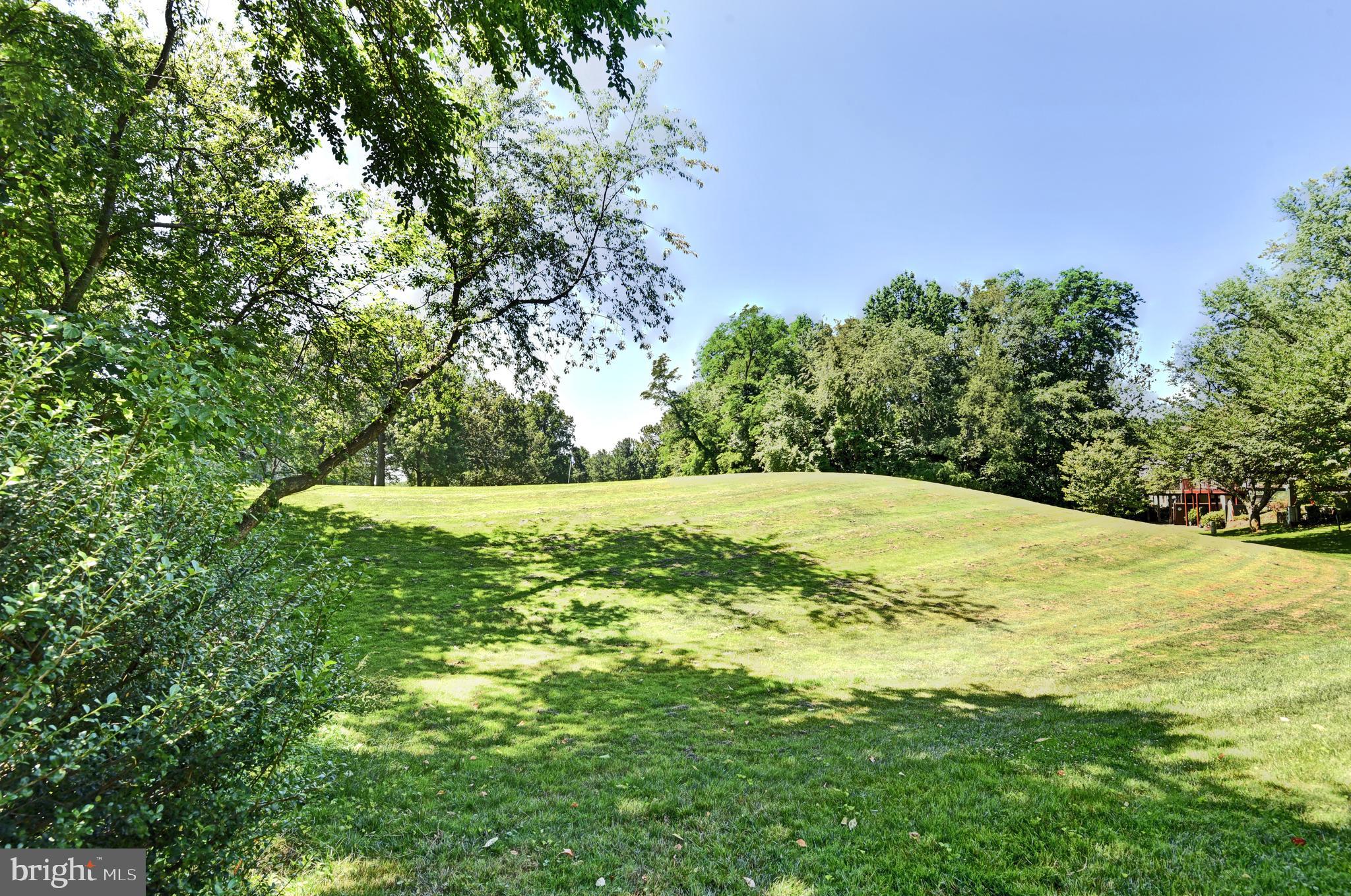 11615 Golf Course Square Reston, VA 20191 - Photo 50 of 58