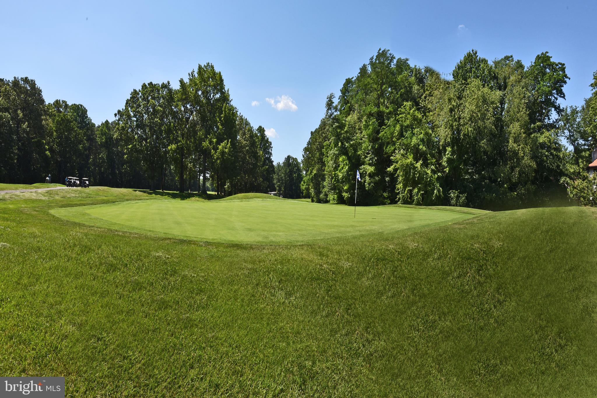 11615 Golf Course Square Reston, VA 20191 - Photo 51 of 58