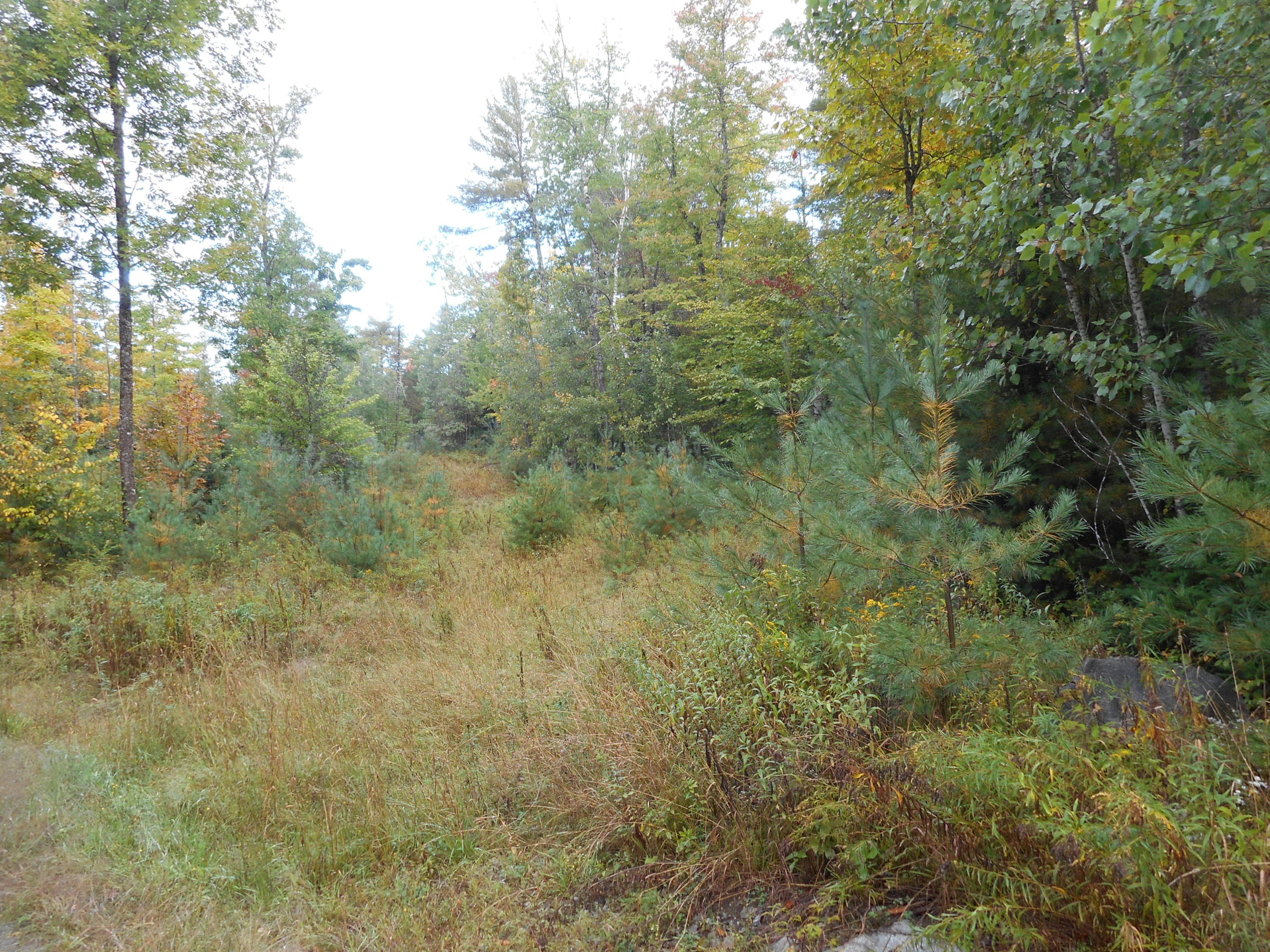 257 Etna Pond Road Carmel, ME 04419 - Photo 2 of 5 DSCN1447
