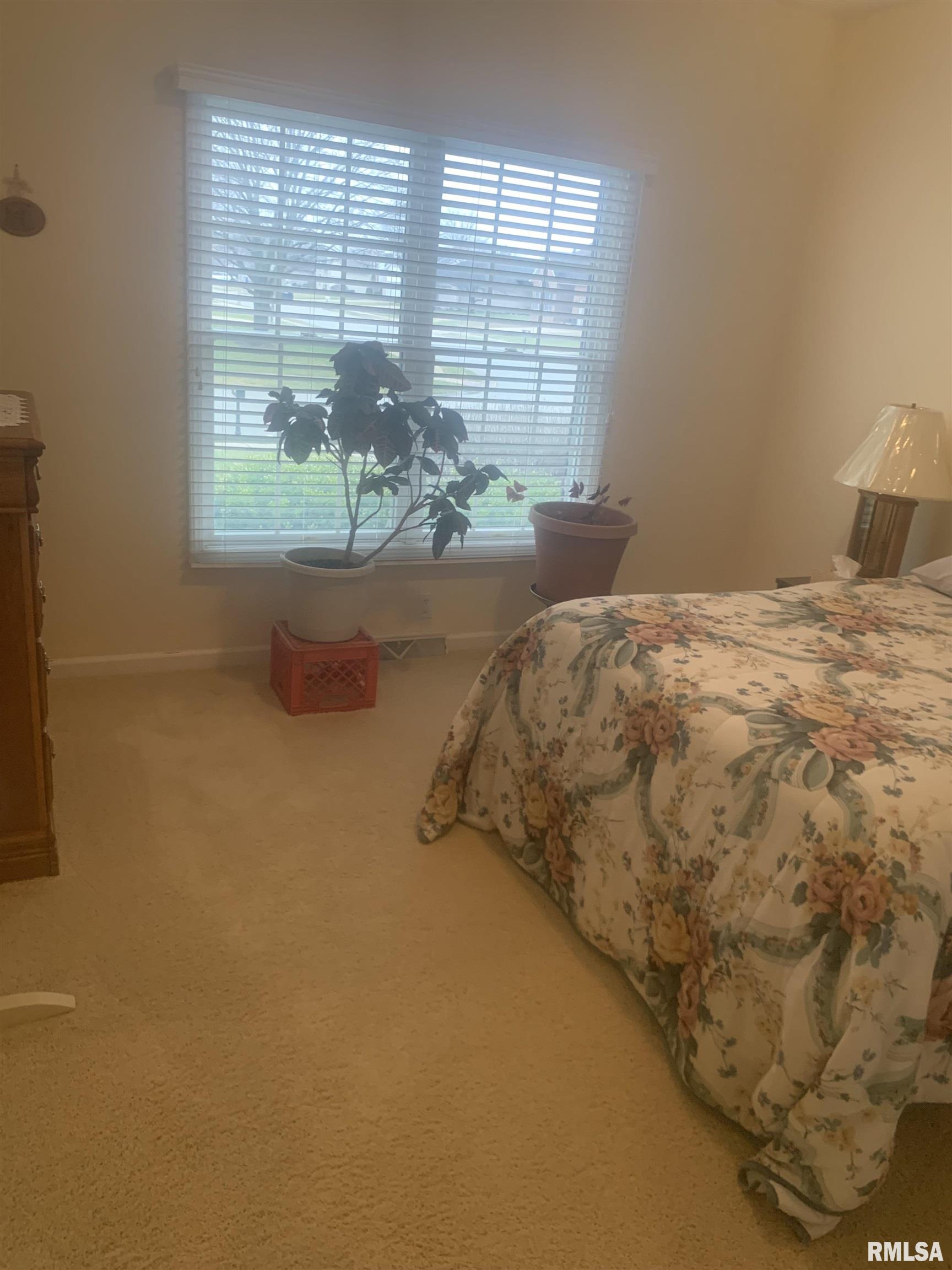 4117 Gaskell Drive Springfield, IL 62711 - Photo 35 of 47