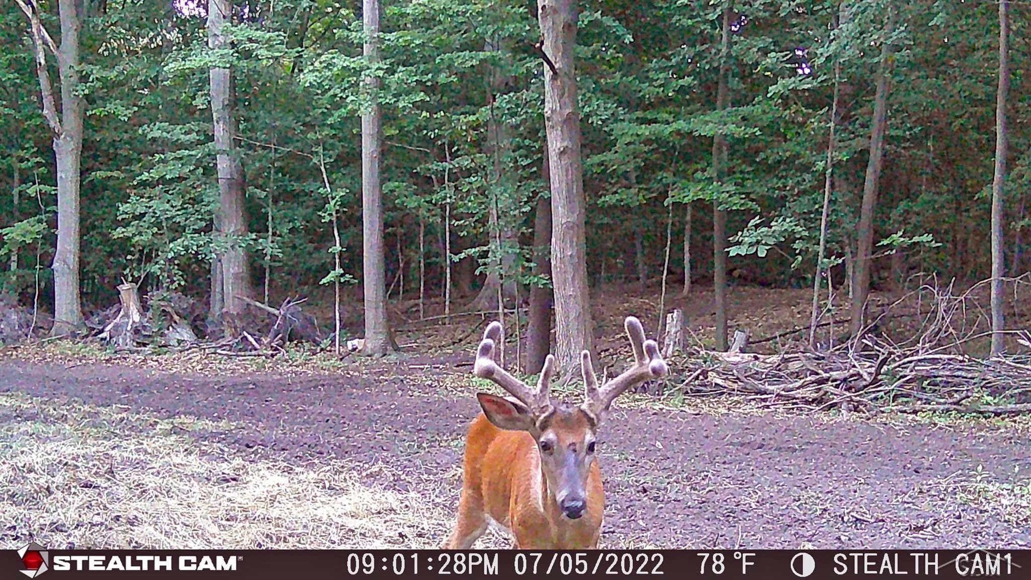 16264 South Raucholz Road Oakley, MI 48649 - Photo 8 of 29