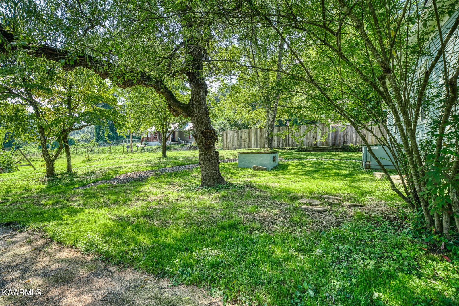 115 Spring Street Lancing, TN 37770 - Photo 8 of 33 a view of yard with trees