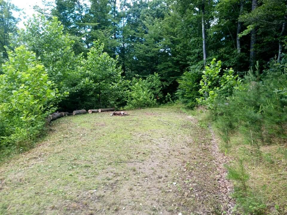 20036 Culp Road Logan, OH 43138 - Photo 5 of 39 IMG_20230722_162739