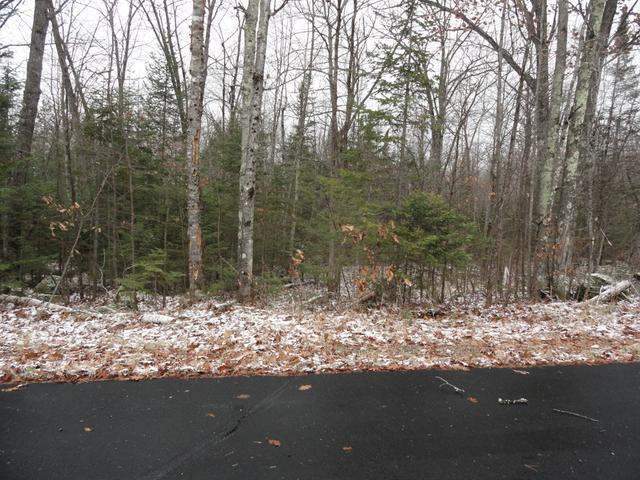 Lot 2 Lot Road Tripoli, WI 54564 - Photo 12 of 20 Gallery Image 12