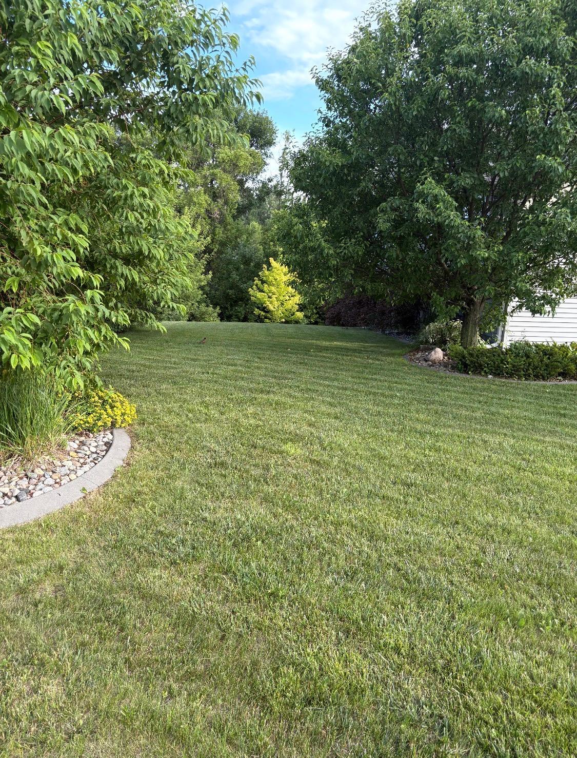 2317 Hillcrest Lane Hawley, MN 56549 - Photo 58 of 86