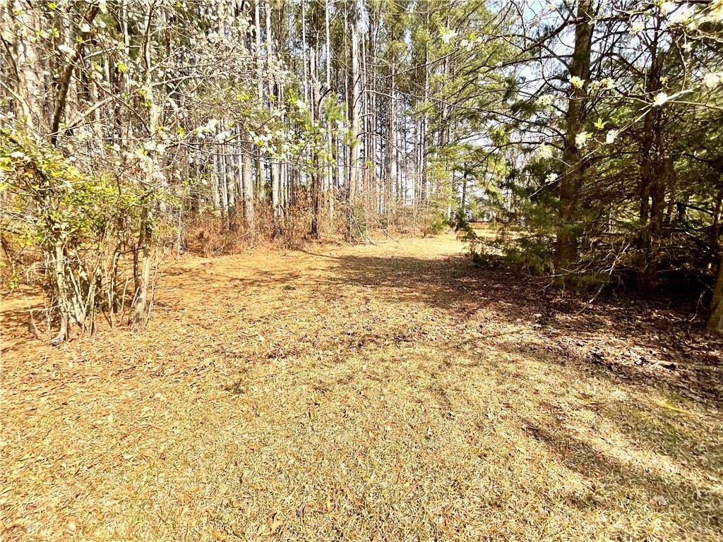 1109 Meadow Road Townville, SC 29689 - Photo 31 of 44 Gallery Image 31