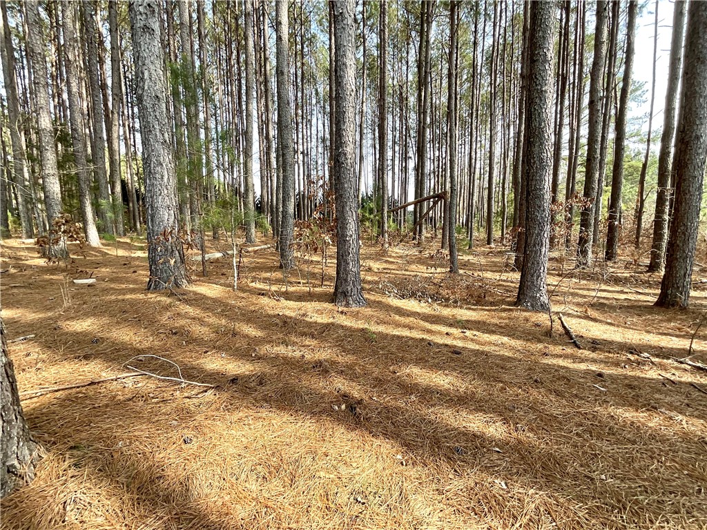 1109 Meadow Road Townville, SC 29689 - Photo 37 of 44 Gallery Image 37