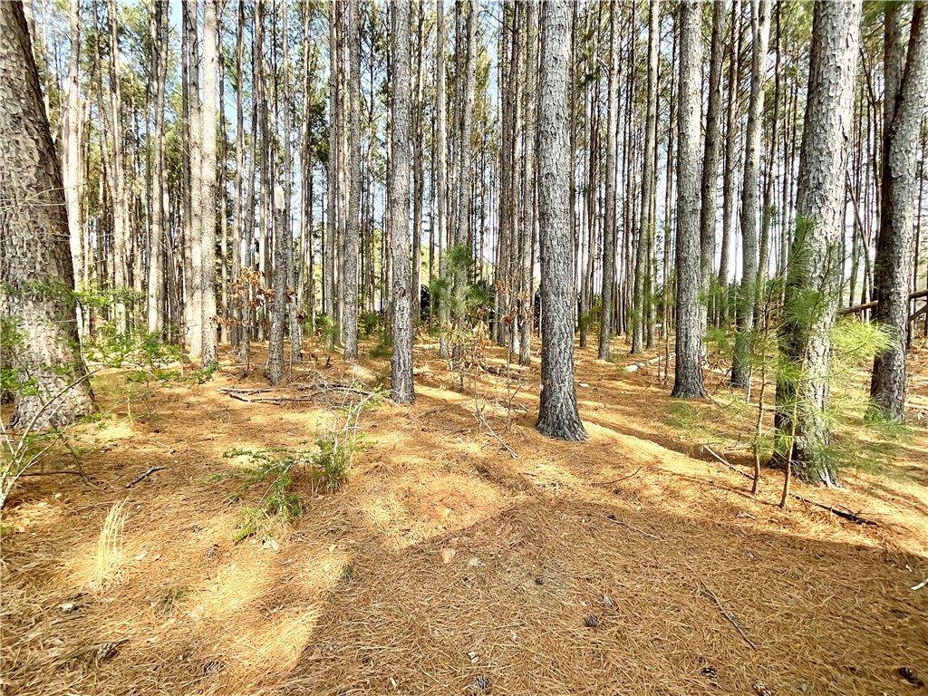 1109 Meadow Road Townville, SC 29689 - Photo 38 of 44 Gallery Image 38