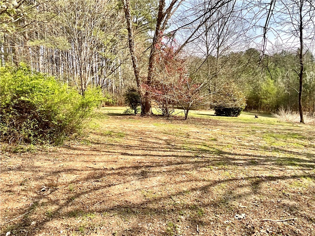 1109 Meadow Road Townville, SC 29689 - Photo 42 of 44 Gallery Image 42