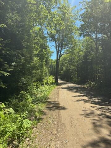 Lot 2 Brown Road Liberty, ME 04949 - Photo 2 of 5 View from Road