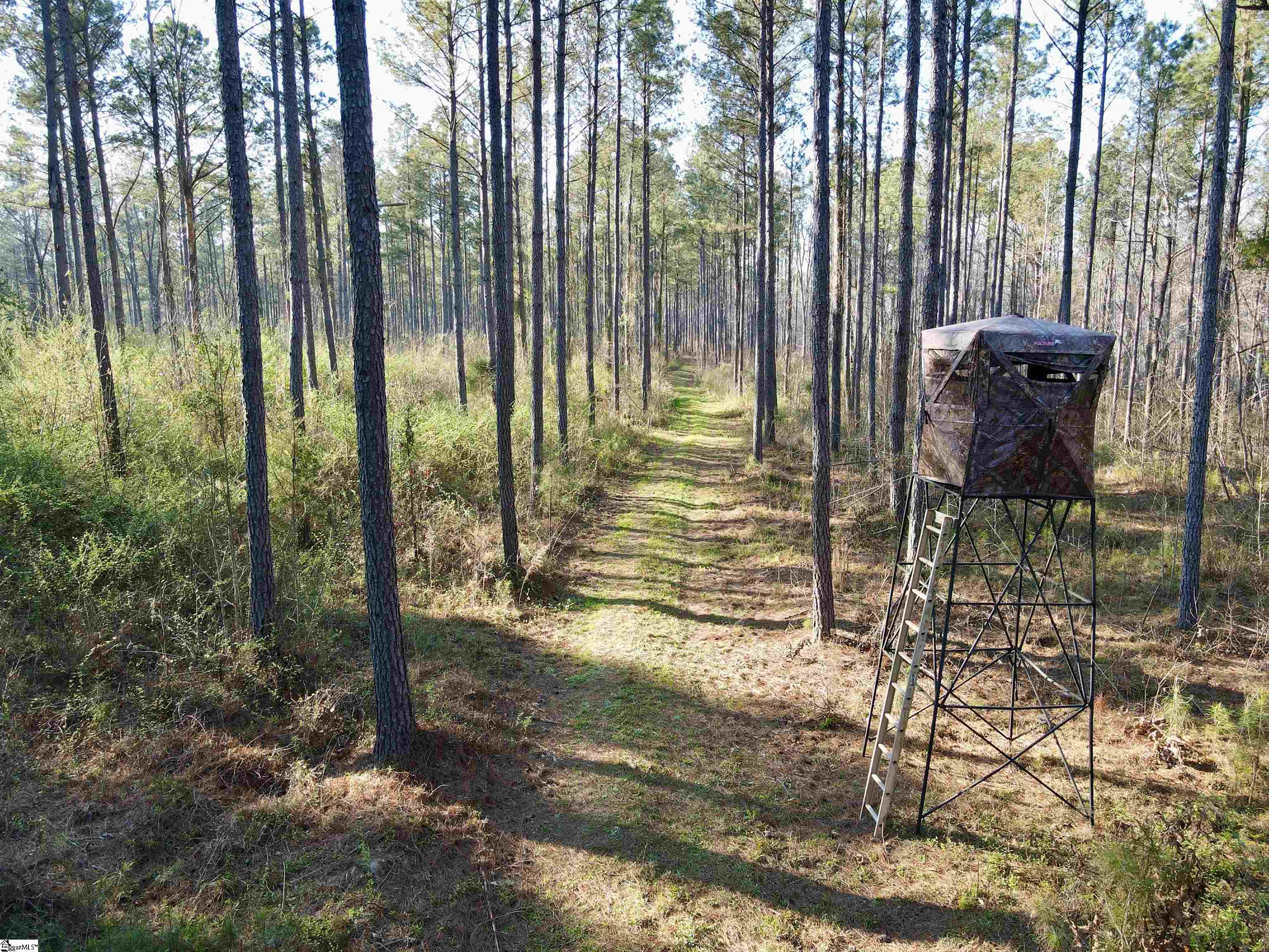 0 Long Cane Road Abbeville, SC 29620 - Photo 18 of 32 Gallery Image 18