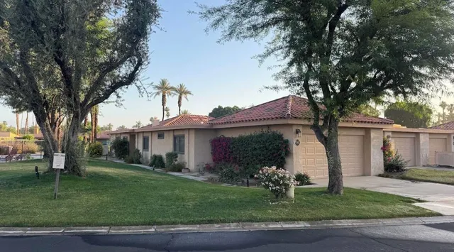 a view of a yard in front of a house with plants and large tree