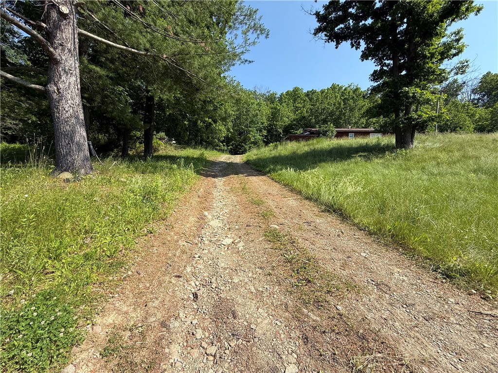 759 Clendenning Road Lindley, NY 14858 - Photo 2 of 10