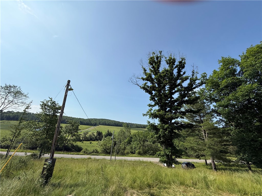 759 Clendenning Road Lindley, NY 14858 - Photo 3 of 10