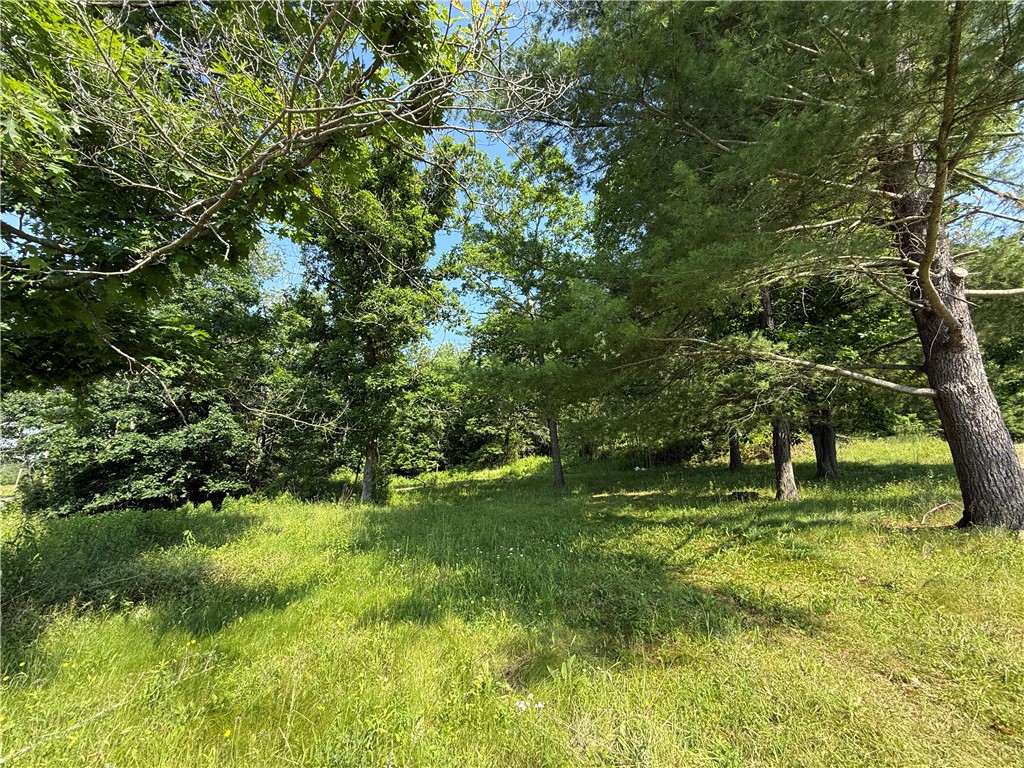 759 Clendenning Road Lindley, NY 14858 - Photo 4 of 10