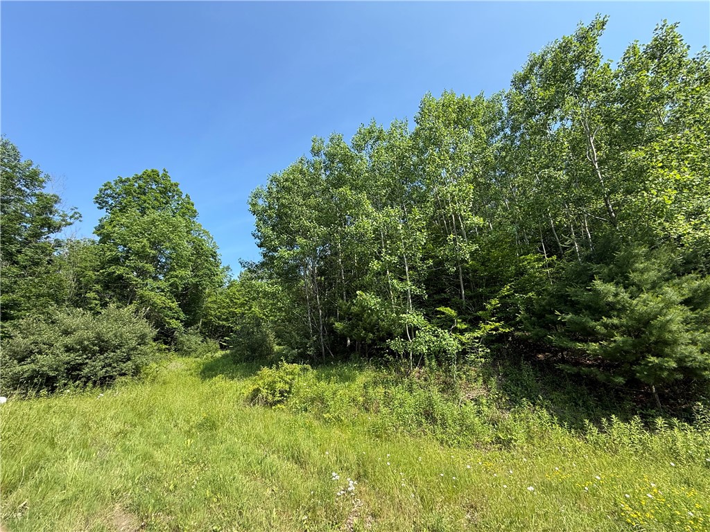 759 Clendenning Road Lindley, NY 14858 - Photo 5 of 10