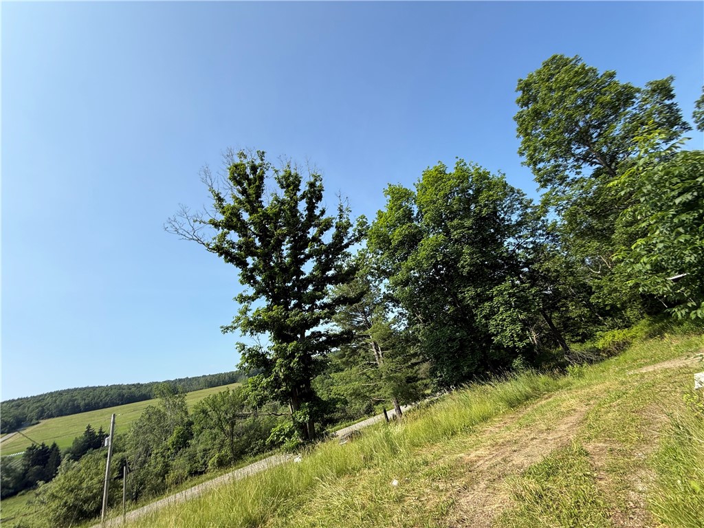 759 Clendenning Road Lindley, NY 14858 - Photo 7 of 10