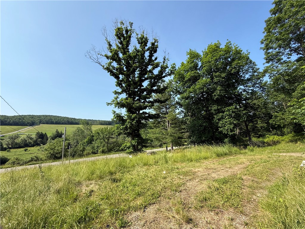 759 Clendenning Road Lindley, NY 14858 - Photo 8 of 10