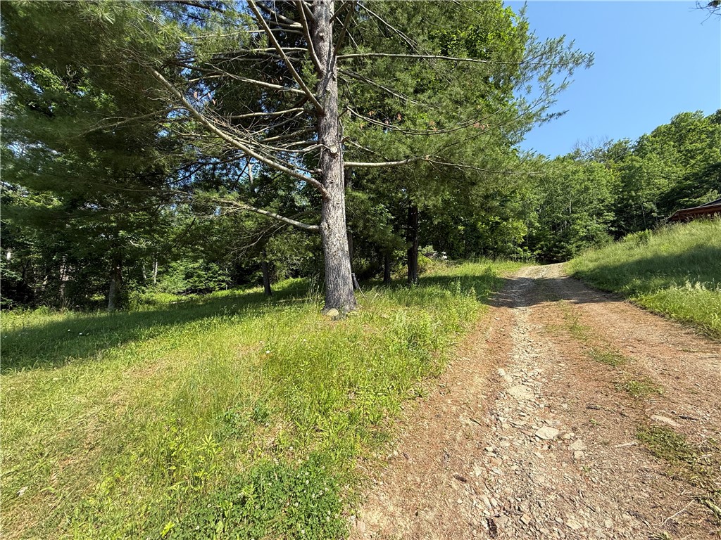 759 Clendenning Road Lindley, NY 14858 - Photo 9 of 10