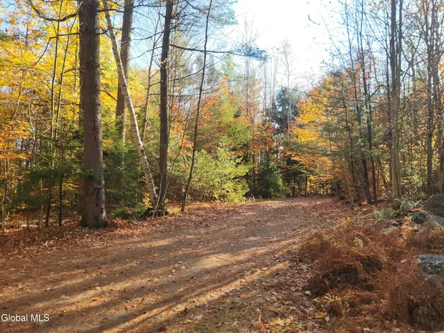 $399,000 | 75 Wood Thrush Way, Schroon Lake, NY 12870