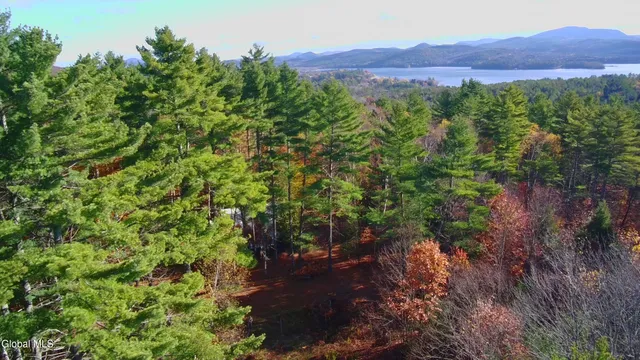 $399,000 | 75 Wood Thrush Way, Schroon Lake, NY 12870
