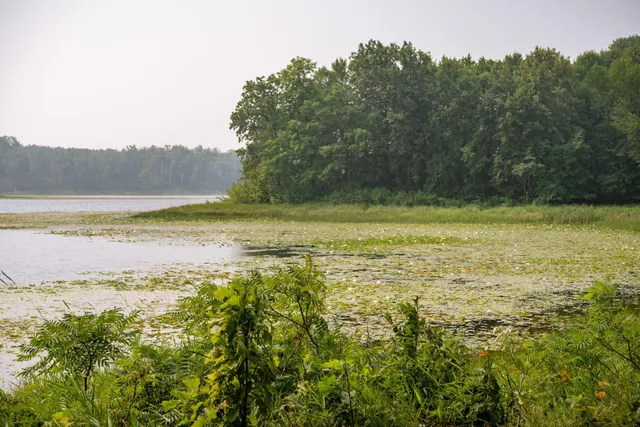 $130,000 | Lot 2 Turtle Lake Drive Northwest, Walker, MN 56484