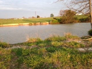 Ac Atwell Road Hardyville, KY 42746 - Photo 2 of 7 Gallery Image 2