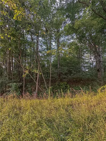 a view of a lake with a tree