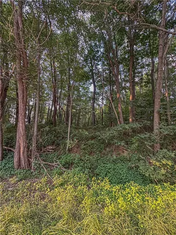 a view of outdoor space and green space