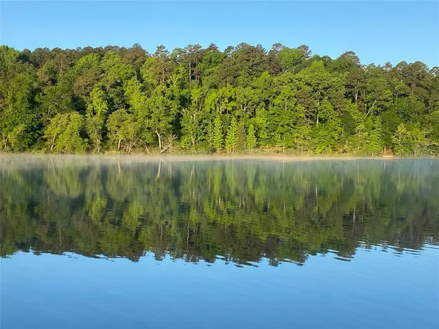 $477,000 | 92 Lake Frankston, Frankston, TX 75763