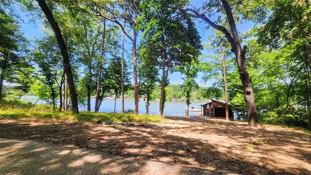 a view of a trees with a yard