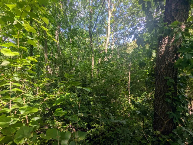 $35,000 | 0 County Road 493 Road, Etowah, TN 37331