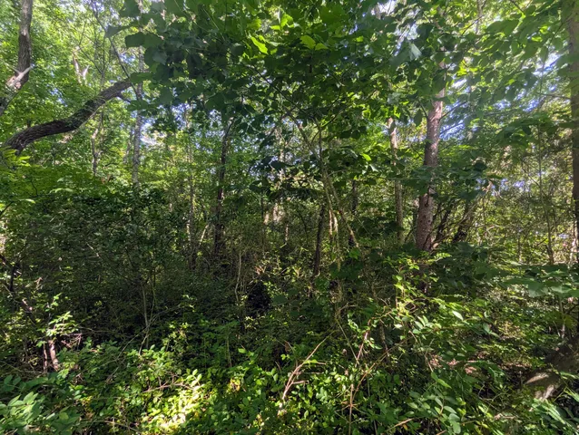 $35,000 | 0 County Road 493 Road, Etowah, TN 37331