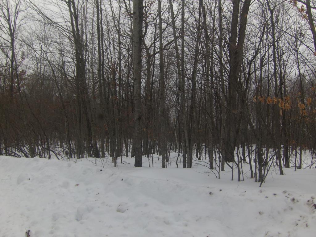 Lot 1 Round Lake Road Bruce, WI 54819 - Photo 1 of 1 Gallery Image 1