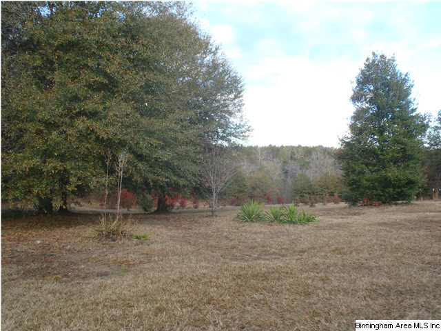 14066 Milldale Road Brookwood, AL 35444 - Photo 13 of 22