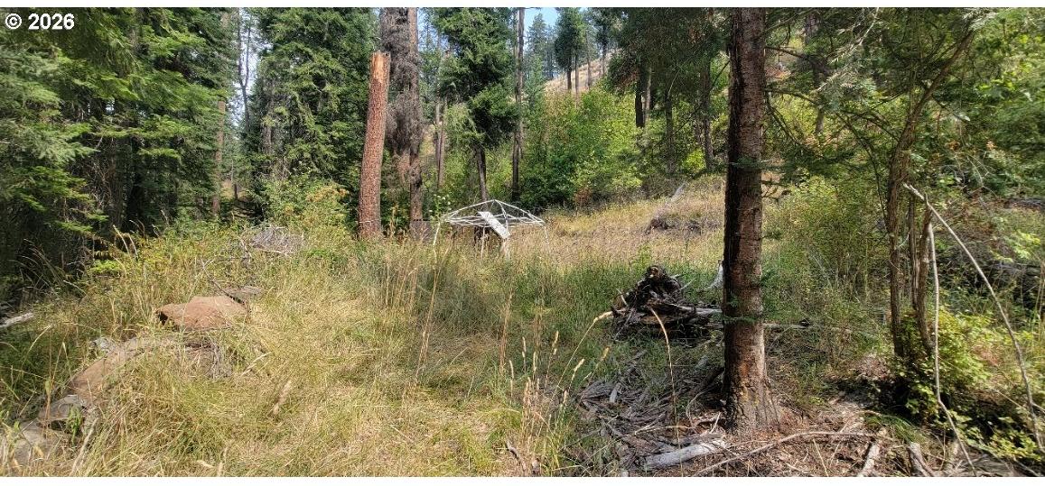 River Canyon Road, Unit TL 900 Imnaha, OR 97842 - Photo 14 of 27 Gallery Image 14