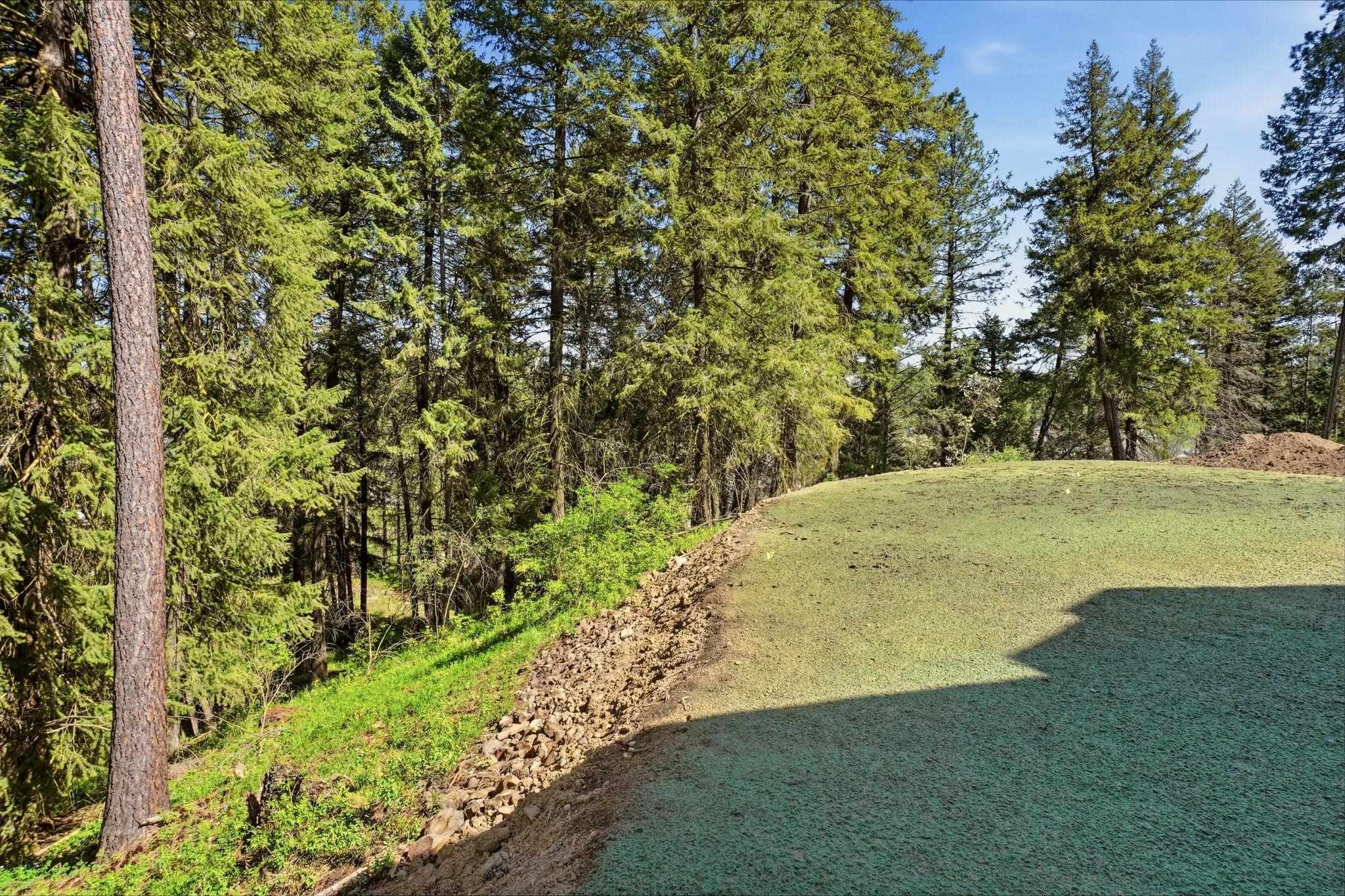 16994 North Morton Drive Colbert, WA 99005 - Photo 43 of 48