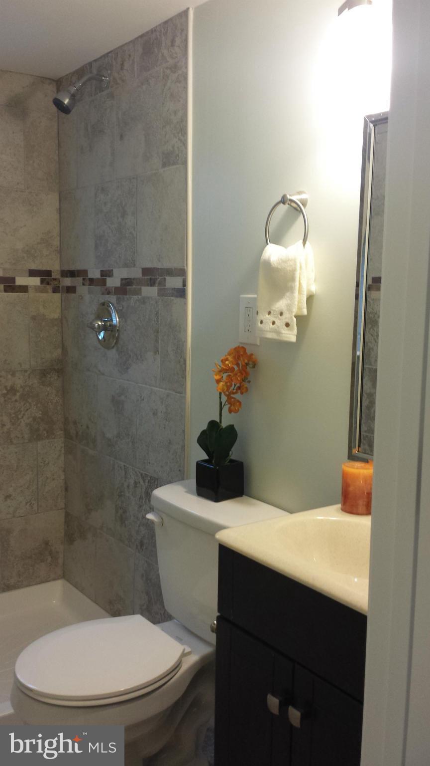 4511 Maple Road Morningside, MD 20746 - Photo 6 of 14 a bathroom with a sink a toilet and a mirror